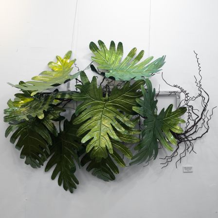 Philodendron Xanadu