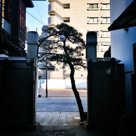 by the entrance of the sake house