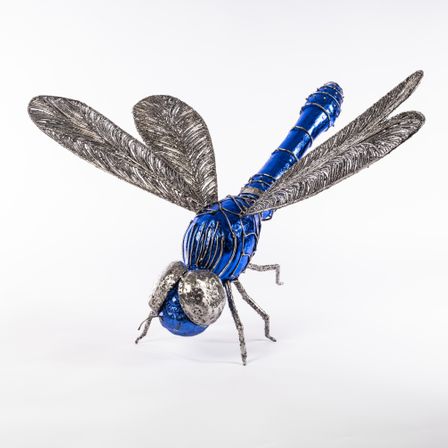 The Blue Dragonfly